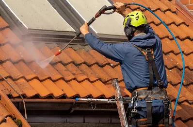 Démoussage et hydrofuge de toiture à Champs